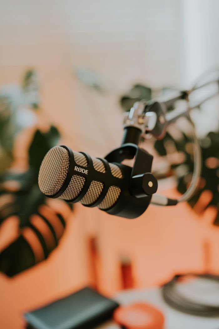 Close-up of a Rode microphone on a stand, set against a backdrop of green indoor plants, ideal for tech and audio themes.